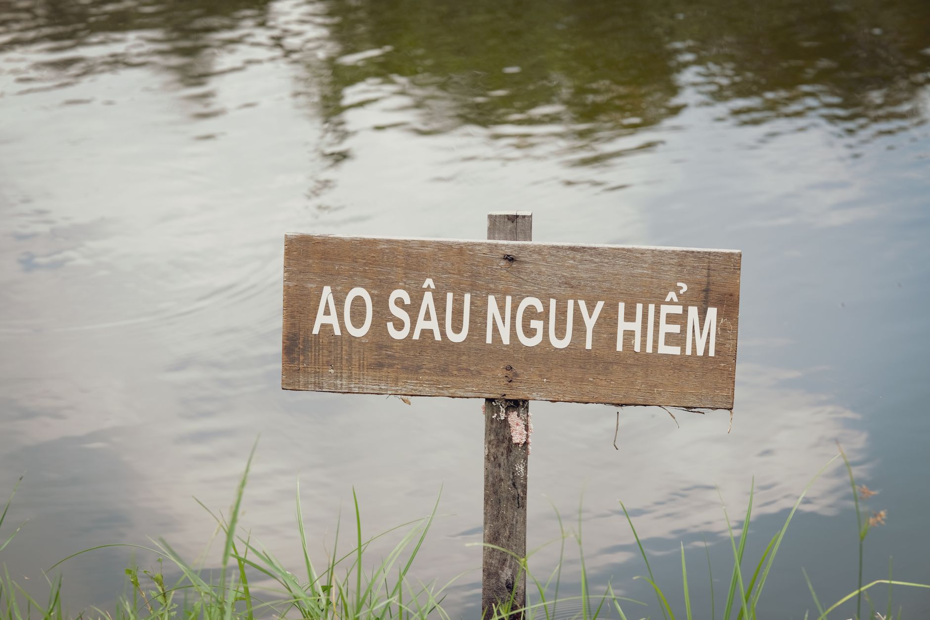 Warning sign indicating contaminated water near a wilderness trail