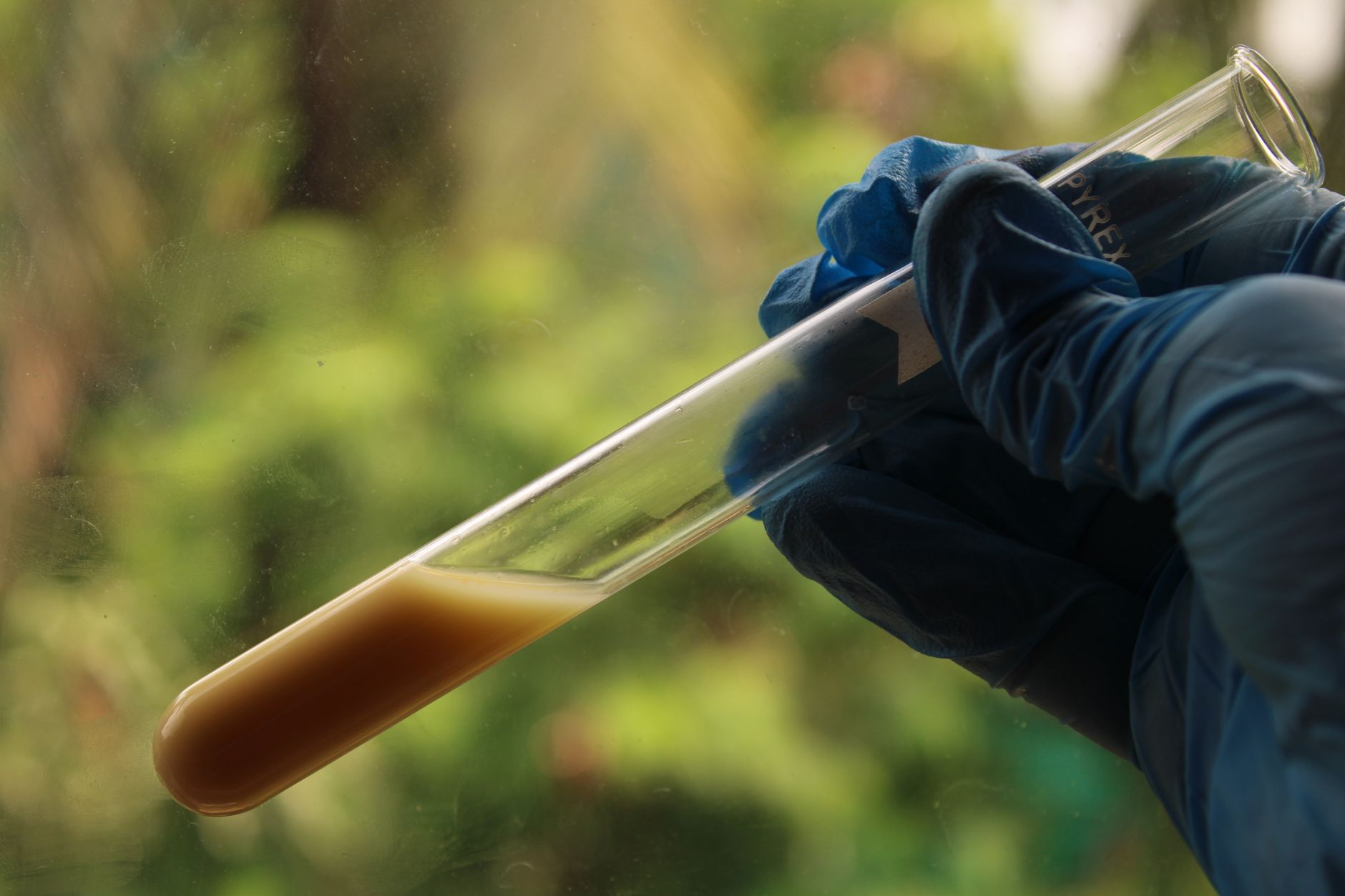 Person collecting a water sample from a tap for testing